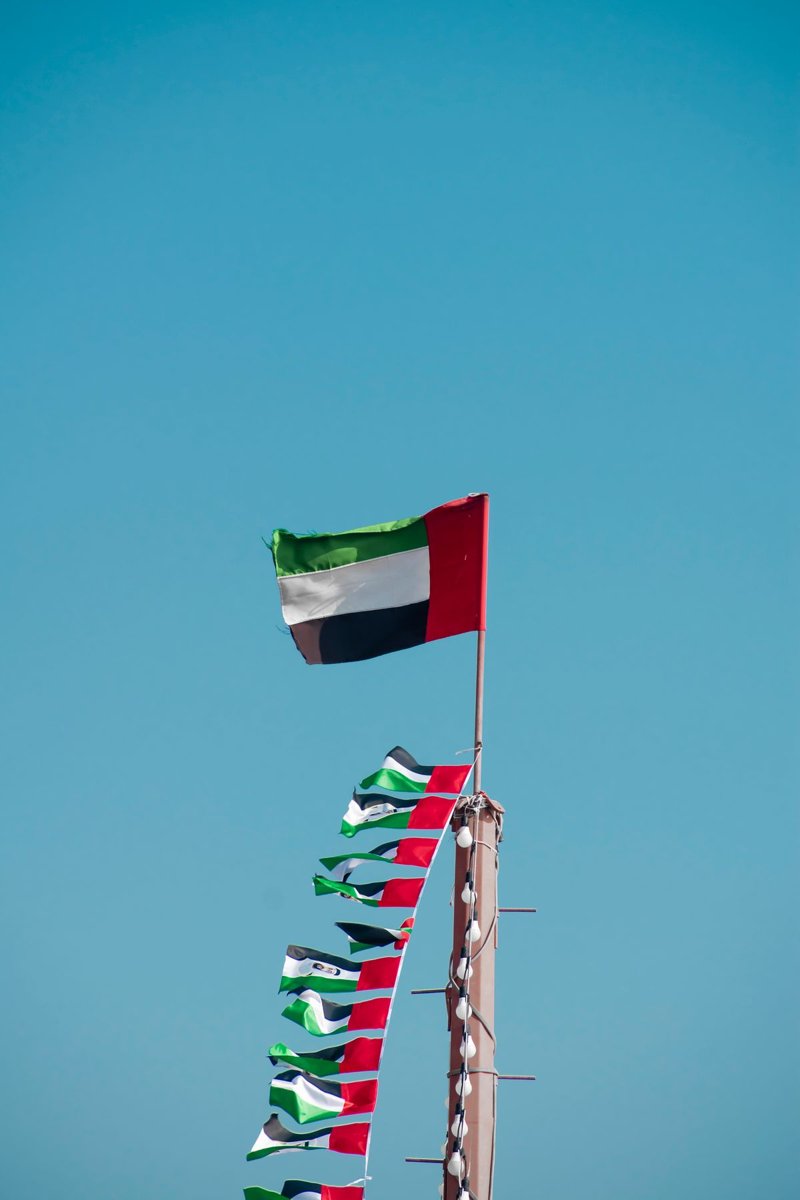 Outdoor flags preview
